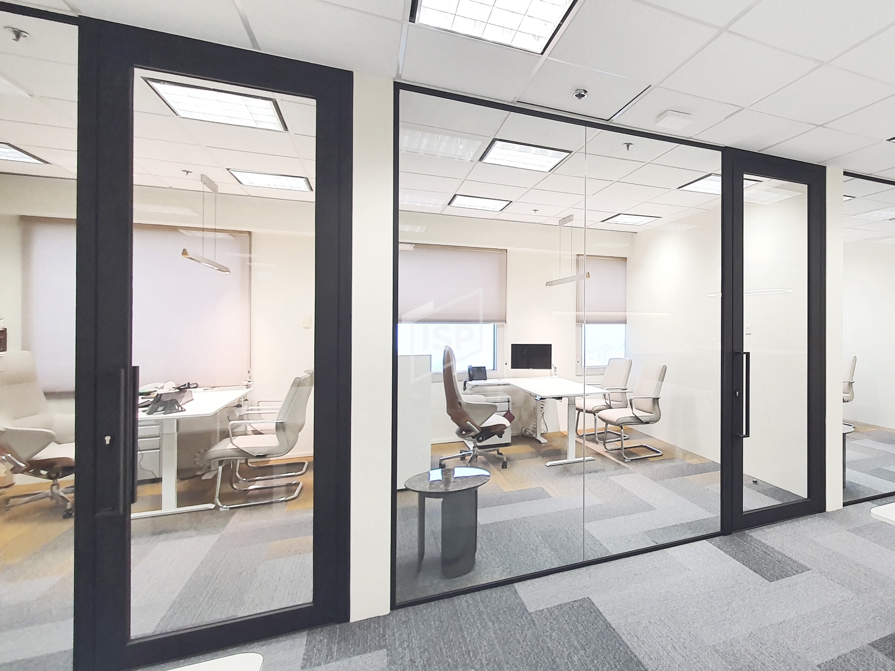 Office Partition Door with SOLO P30 System