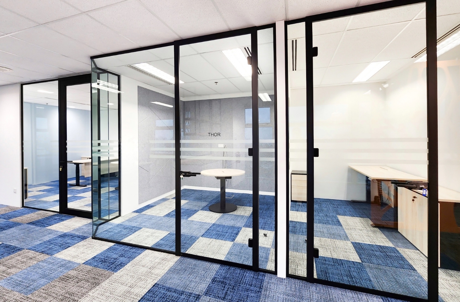 SOLO Frameless Door